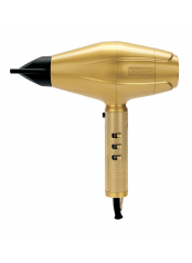 BaByliss PRO Profesionální fén 4Artists GOLD FXBDG1E