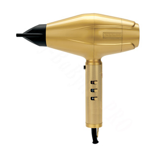 BaByliss PRO Profesionální fén 4Artists GOLD FXBDG1E